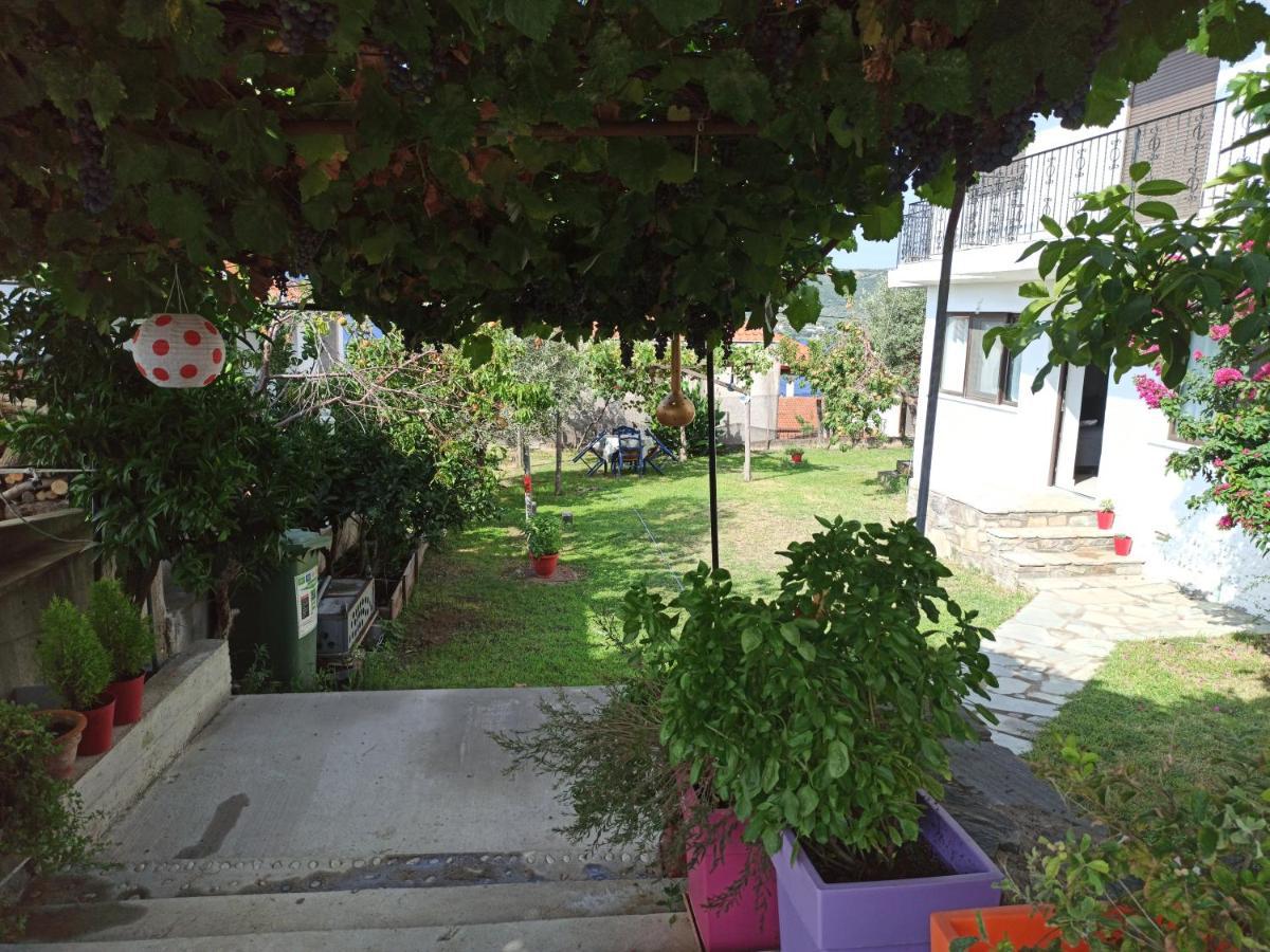 Dora'S House Comfortable Apartment With A Yard And View Pyrgadikia Dış mekan fotoğraf