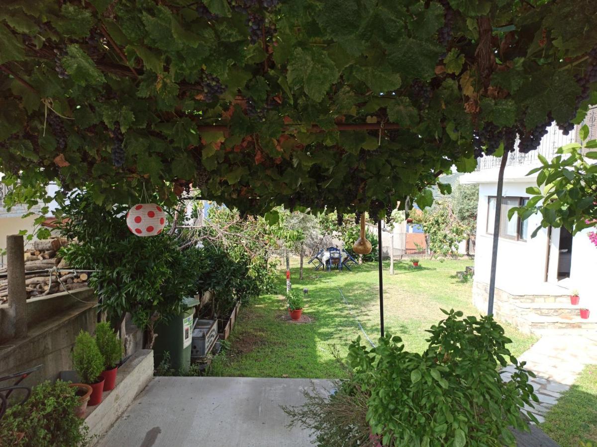 Dora'S House Comfortable Apartment With A Yard And View Pyrgadikia Dış mekan fotoğraf